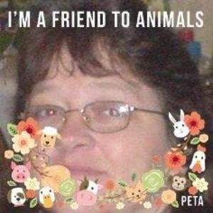 Meet your Posher, Ann